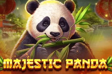 hi99